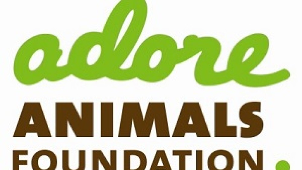 Adore Animals Foundation 300×200