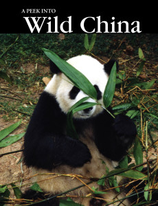 China_Book1 Cover_Australian