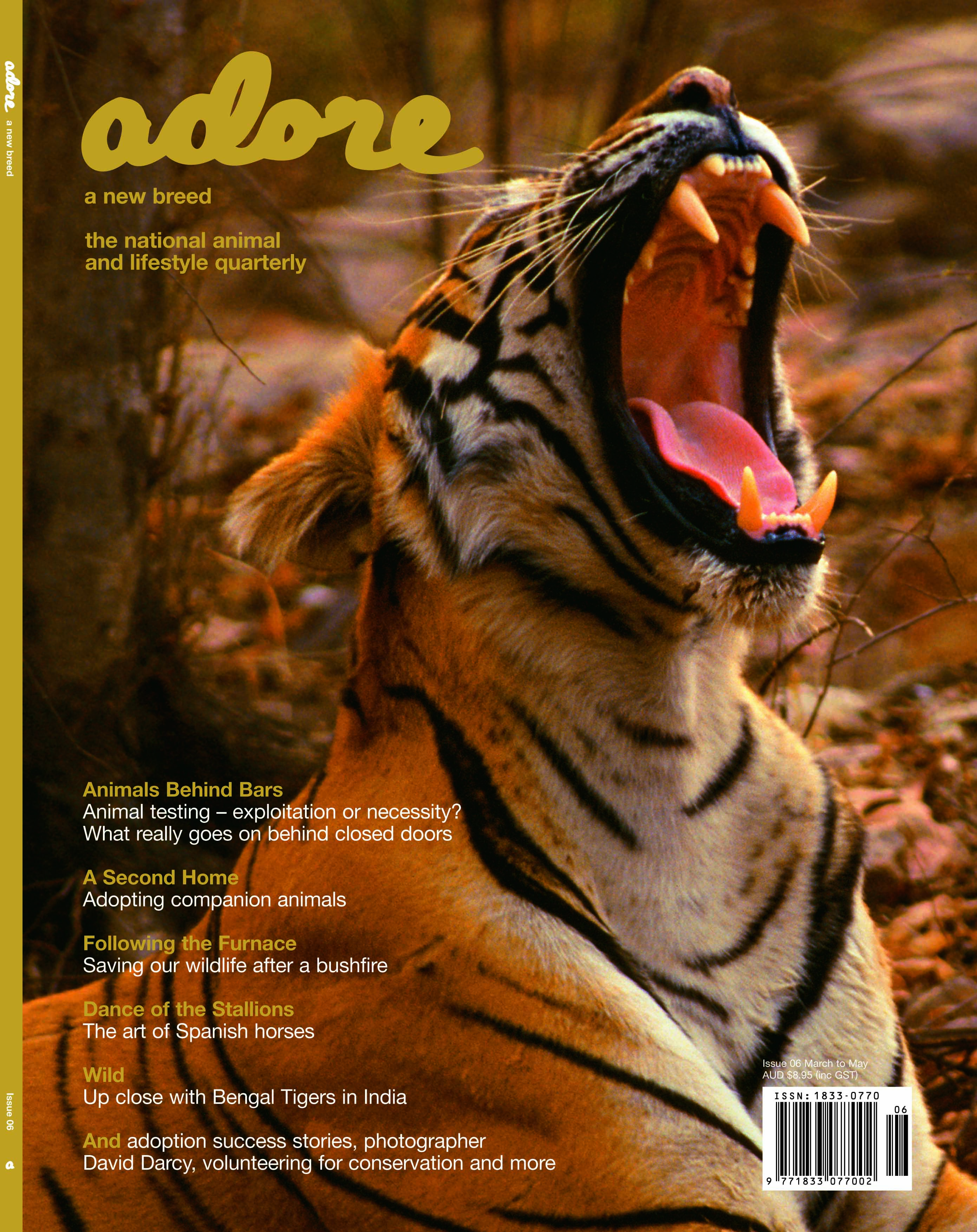 cover 06
