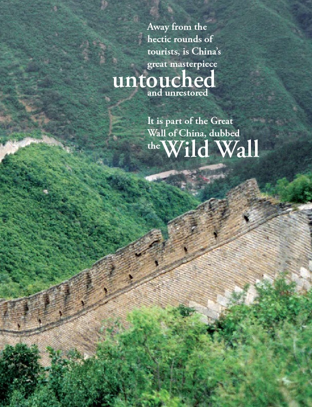 wild wall